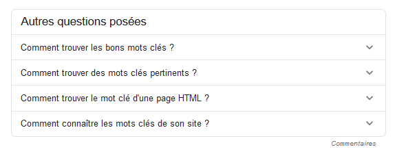  Rich Snippet Google Questions-Réponses 